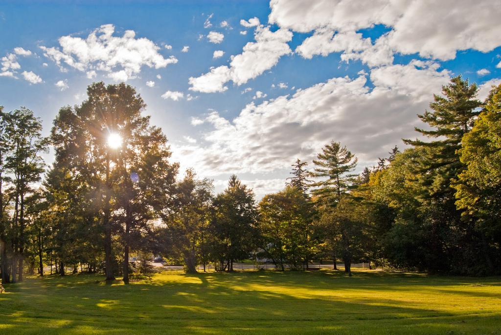 Swift House Inn Middlebury Kültér fotó
