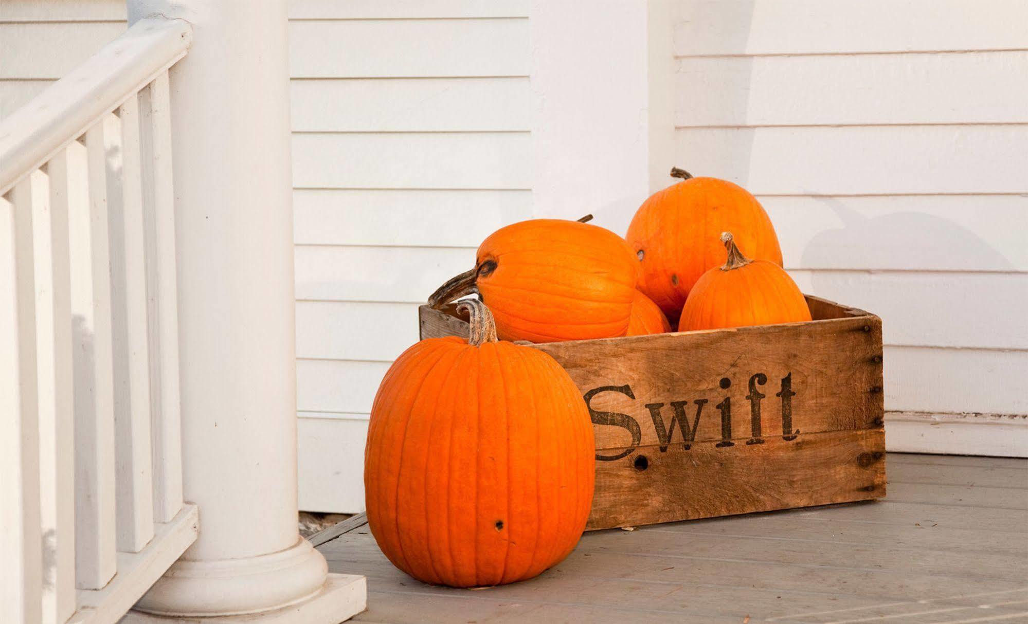 Swift House Inn Middlebury Kültér fotó
